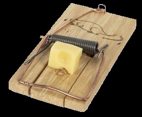 Mousetrap baited with cheese